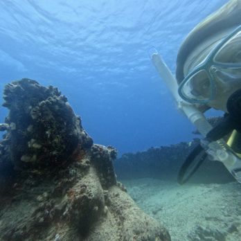 Aaron's Dive Shop - Buddha selfie - Dive Shops Near Me - Kailua, Hawaii Aaron's Dive Shop - Buddha selfie - Dive Shops Near Me - Kailua, Hawaii
