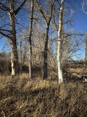 Cherry Creek State Park by null