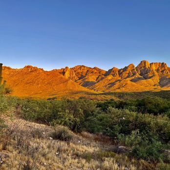 Catalina State Park - Catalina State Park May 27, 2023 - Parks Near Me - Tucson, Arizona Catalina State Park - Catalina State Park May 27, 2023 - Parks Near Me - Tucson, Arizona