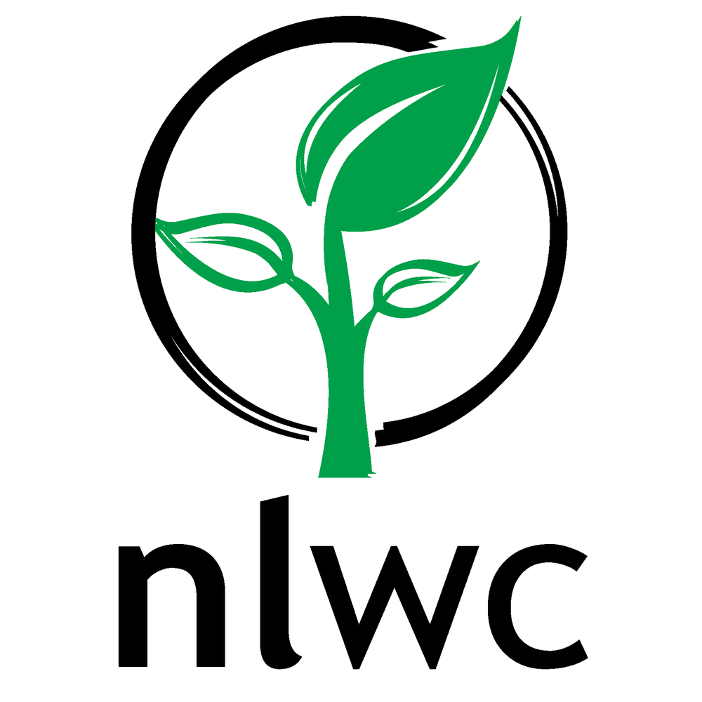 New Leaf Wellness Center - grief counselor in El Paso, TX