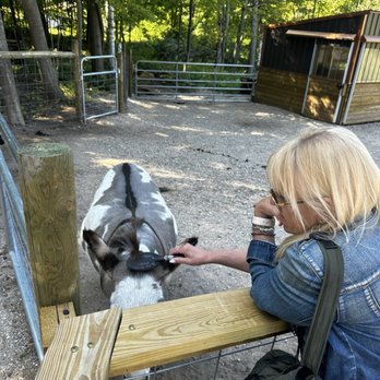 Crystal Lake Alpacas - Accessories Near Me - Frankfort, Michigan