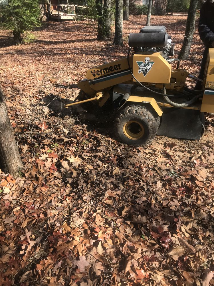 All Seasons Tree Service of NWA  - tree service in Fayetteville, AR