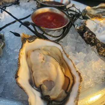 Bluewater Grill - Oyster appetizer - Seafood Near Me - Coronado, California Bluewater Grill - Oyster appetizer - Seafood Near Me - Coronado, California
