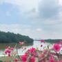 Photo of 南生圍