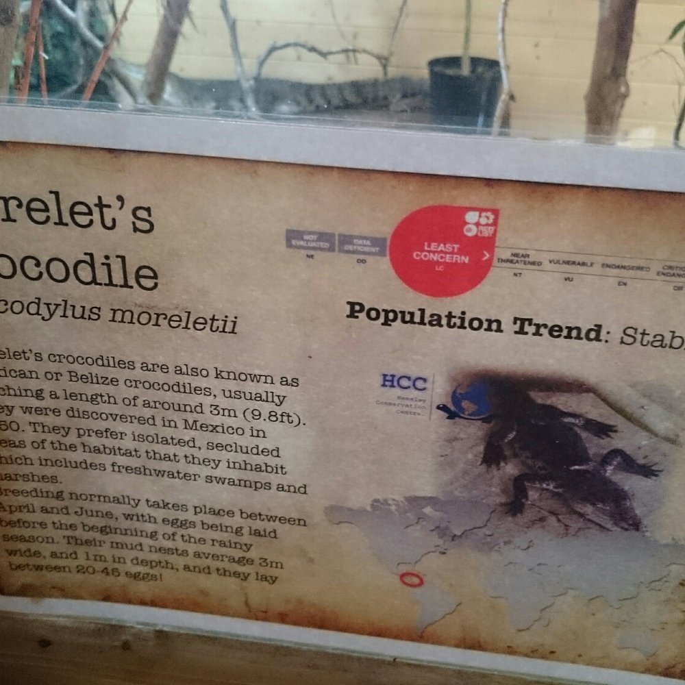 Hemsley Conservation Centre - Zoos Near Me - Fairseat, KEN