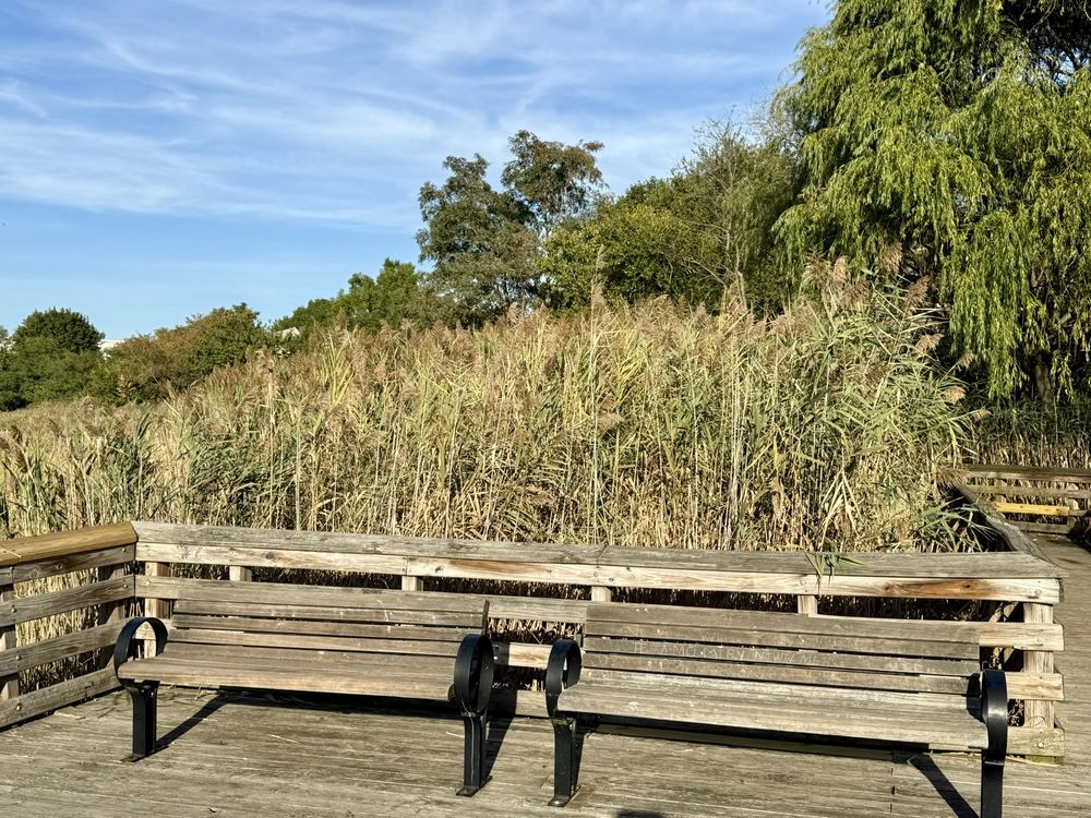 Mayor Richard A. Rutkowski Park