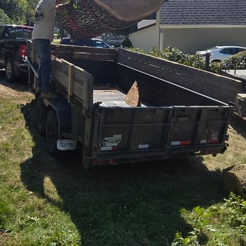 The Guys Tree Service - Tree Services Near Me - Waterloo, Indiana The Guys Tree Service - Tree Services Near Me - Waterloo, Indiana