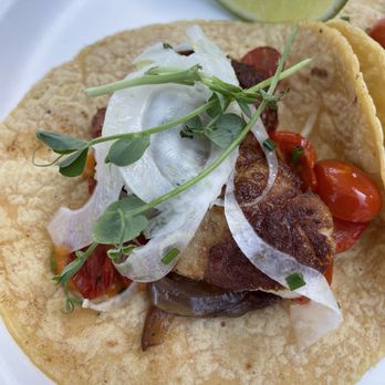 Holbox - Scallop Taco - Latin American Near Me - Los Angeles, California