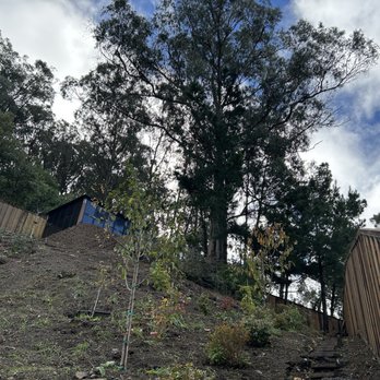 Go Panorama Landscaping - Hill with trees and plants planted, path leading up to the path installed, and concrete pad with retaining walls in place - Landscaping Near Me - San Jose, California Go Panorama Landscaping - Hill with trees and plants planted, path leading up to the path installed, and concrete pad with retaining walls in place - Landscaping Near Me - San Jose, California