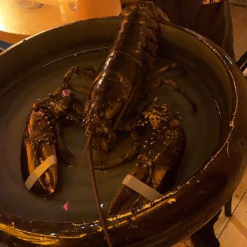 China Chilcano - The live mr lobster - Peruvian Near Me - Washington, DC, District of Columbia China Chilcano - The live mr lobster - Peruvian Near Me - Washington, DC, District of Columbia