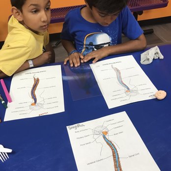 Science Nature Labs! - Educational Services Near Me - Santa Clara, California Science Nature Labs! - Educational Services Near Me - Santa Clara, California