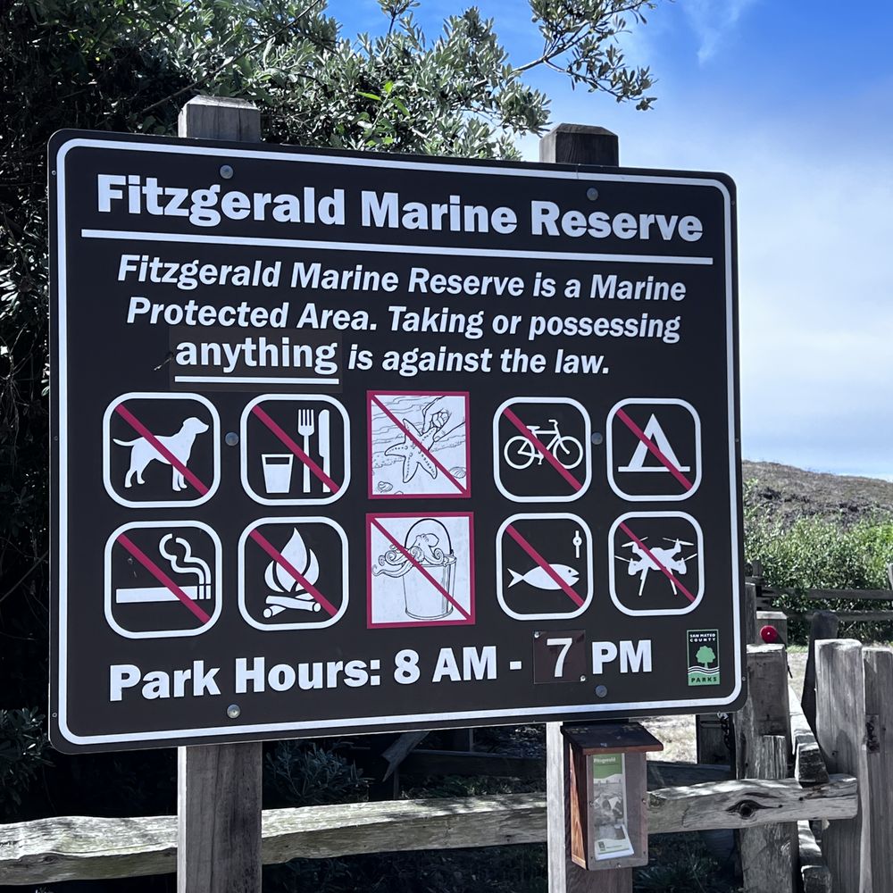 Fitzgerald Marine Reserve - Fitzgerald Marine Reserve: Rules and Regulations - Parks Near Me - Moss Beach, California