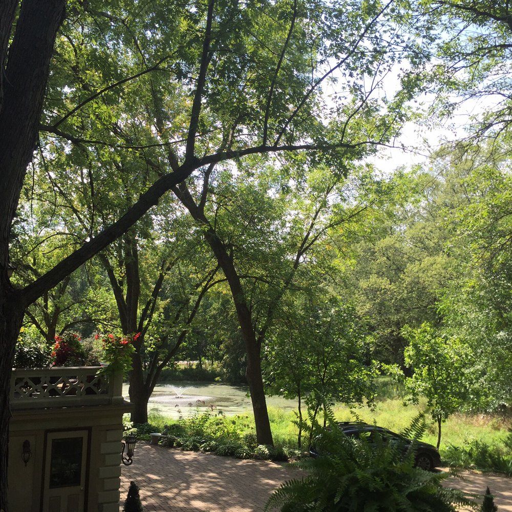 Maudie MacBrides - There's a lake adjacent to the property. So nice and relaxing! - Tea Rooms Near Me - Saint Paul, Minnesota