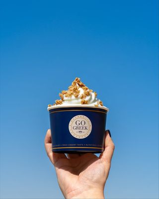 Go Greek Yogurt by null