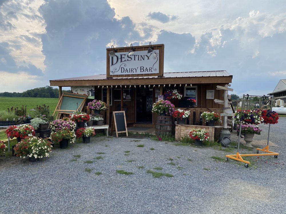 DESTINY DAIRY BAR Updated May 2024 20 Photos 60 Horners Rd