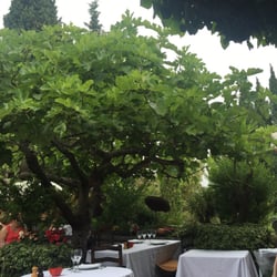 La Colombe D Or - Greenery surrounding tables