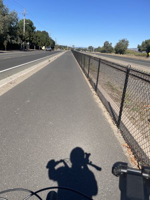 Napa Valley Vine Trail by null