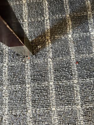 Oakland Airport Executive Hotel by null