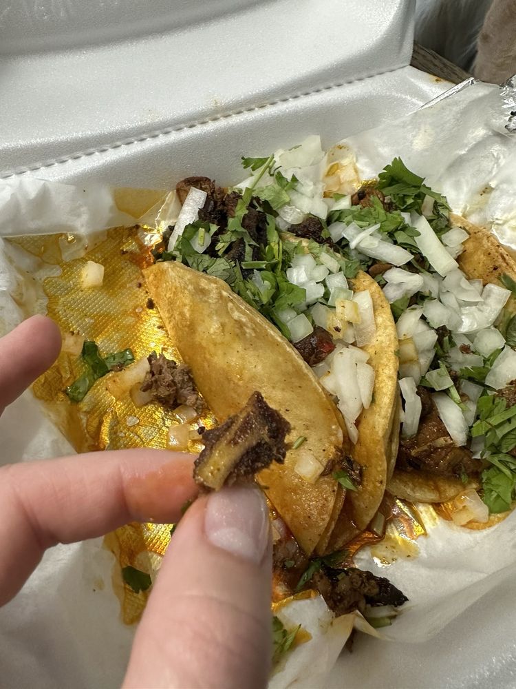 Puerto Vallarta Express