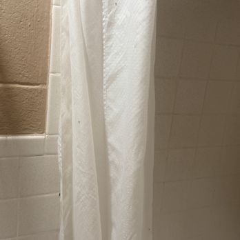 Gaido's Seaside Inn - Gnats and fly on the shower curtain - Hotels Near Me - Galveston, Texas