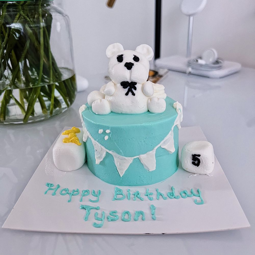 Axel & Tia's Pet Bakery - Pet Stores Near Me