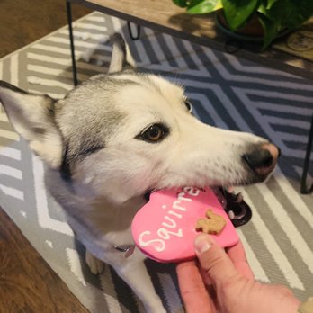 Oliver's Emporium - Heart cookie - Pet Stores Near Me - Big Bear Lake, California