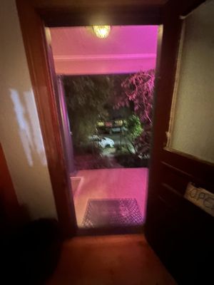 Enthea Teahouse by null