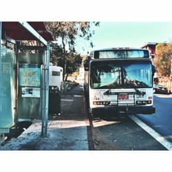 MUNI - 38 Geary