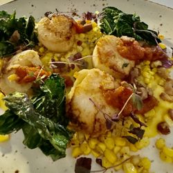Scallops