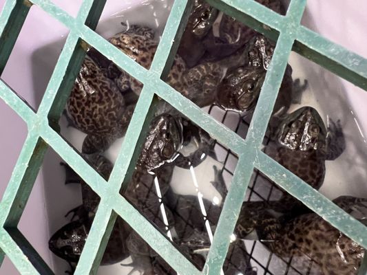 Hong Li Meat Market by null