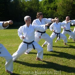 Mushin Martial Arts