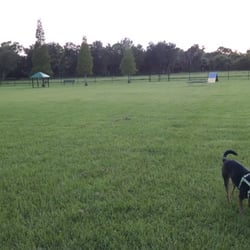 Diogi Dog Park
