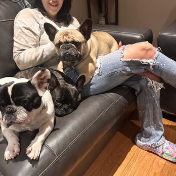 Bernadette's Doggy Spa - Pet Groomers Near Me - Holtsville, New York