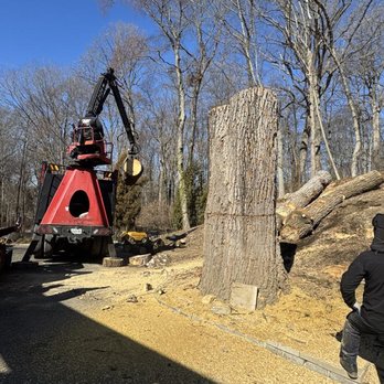 RB Tree Service - Tree Services Near Me RB Tree Service - Tree Services Near Me