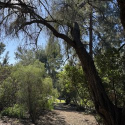 Olive Hills Park