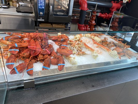 OCEAN SEAFOOD DEPOT INC Wholesale by null