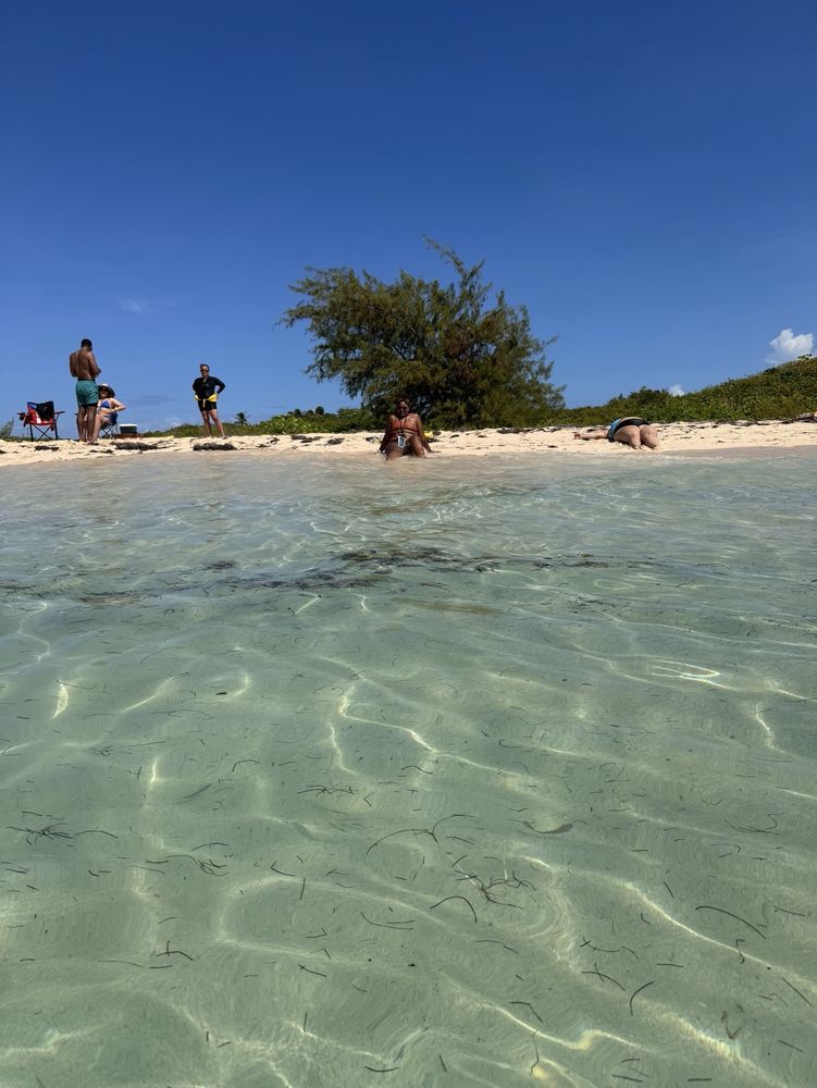 Snorkeling Puerto Rico Logo