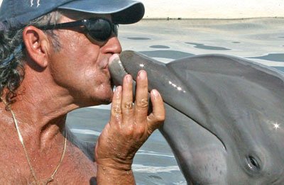 Dolphin Research Center by null