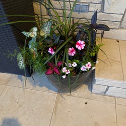 Adams Nursery - Plants purchased