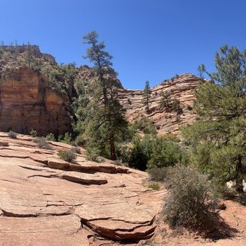 Zion National Park - Zion - Parks Near Me Zion National Park - Zion - Parks Near Me