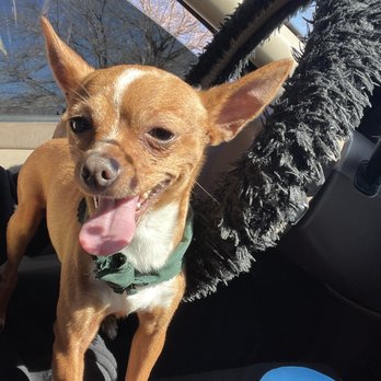 Duke City Doggery - Pet Stores Near Me - Albuquerque, New Mexico