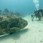 Dave Ochs' Aqua Safari Adventures, Inc.