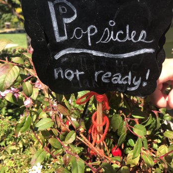 Popsicle Bubbe - a sign in a garden - Specialty Food Near Me - Chelan, Washington Popsicle Bubbe - a sign in a garden - Specialty Food Near Me - Chelan, Washington