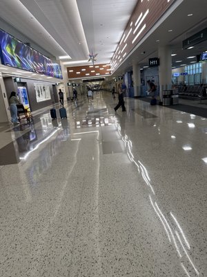 TSA At Minneapolis St Paul International Airport