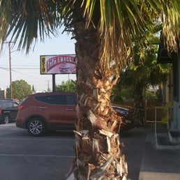 PAPA ERIC’S BURGERS - Updated July 2025 - 68 Photos & 82 Reviews - 2519 ...