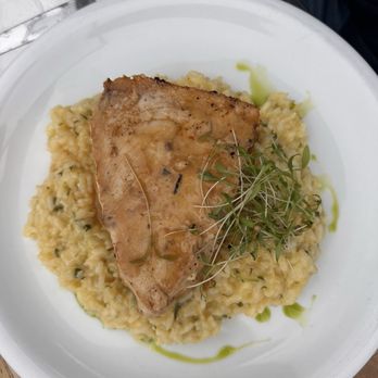 Restaurant Fauna - Swordfish with mushroom risotto which - Seafood Near Me - Valparaíso, VS Restaurant Fauna - Swordfish with mushroom risotto which - Seafood Near Me - Valparaíso, VS