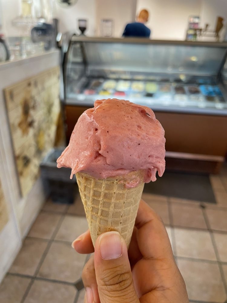 Nectar Gelato & Espresso Logo