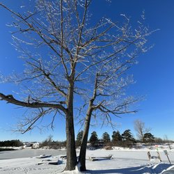 Rotary Island Park