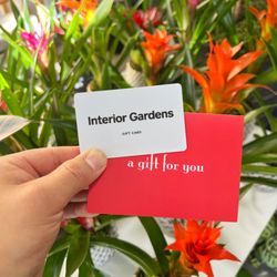 Interior Gardens