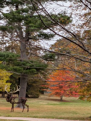 George B. Dorr Museum of Natural History by null